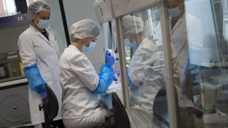 Συναγερμός στην Καλιφόρνια: Κάτοικος θετικός στην πανώλη - Τον τσίμπησε ψύλλος ενώ έκανε κάμπινγκ