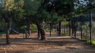 Κλειστό το Άλσος Χωροφυλακής μέχρι νεωτέρας, με εισαγγελική παραγγελία