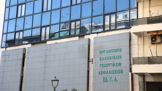 Υπουργείο Οικονομικών: Συγκροτείται ομάδα ελέγχου για τις αποζημιώσεις του ΕΛΓΑ