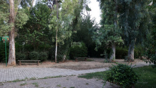 Ανοιχτό ξανά στο κοινό το Άλσος Χωροφυλακής στην Αθήνα