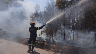 Φωτιά στην Κομοτηνή: Επιχειρούν επίγειες δυνάμεις - Ηχησε το 112