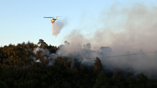 Φωτιά σε δασική έκταση στην Αισύμη Έβρου - Επιχειρούν και εναέρια