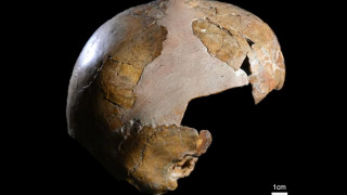 Νεάντερταλ και Homo Sapiens έκαναν παιδιά 100.000 χρόνια νωρίτερα από όσο πιστεύαμε