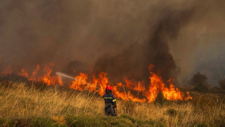 Πυροσβεστική: 38 πυρκαγιές σε αγροτικές και δασικές περιοχές το τελευταίο 24ωρο