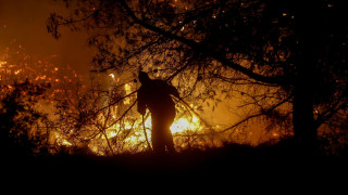 Φωτιά στο Πετρωτό Φθιώτιδας: Ισχυρή δύναμη με 68 πυροσβέστες