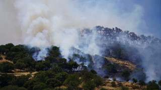 Αρχαία Ολυμπία: Φωτιά σε δασική έκταση στις πλαγιές του Ερύμανθου