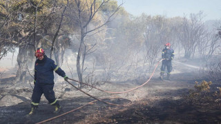 Φωτιά στο Αριοχώρι Καλαμάτας - Κινητοποιήθηκε η Πυροσβεστική