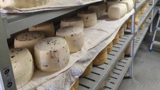 Οι Ολλανδοί «ψηφίζουν» Ίο για τον προορισμό με τα πιο γευστικά τυριά