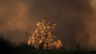 Απειλείται το ελληνικό καλοκαίρι: Η κλιματική αλλαγή κάνει το περιβάλλον πιο «φιλικό» στις φωτιές