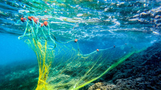 «Δίχτυα φαντάσματα» σκοτώνουν την θαλάσσια ζωή - Από την αλιεία το 15% των πλαστικών απορριμμάτων