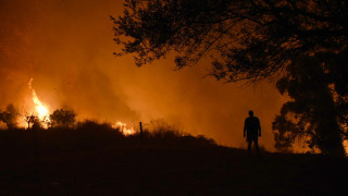 Καλύτερη εικόνα από τη φωτιά στην Παλαιόπολη Άνδρου - Ενισχύθηκαν οι πυροσβεστικές δυνάμεις