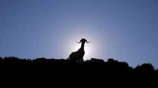 Στα 17 τα κρούσματα αφθώδους πυρετού στη Μυτιλήνη - Επιβεβαιώθηκαν νέα τέσσερα περιστατικά