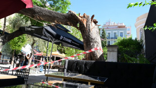 Βίντεο από τη στιγμή που το δέντρο πέφτει στο πλήθος στην πλατεία Αγίας Ειρήνης