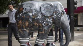 Αγγλία: Σε δημοπρασία γλυπτά ελέφαντες για την στήριξη Κέντρου Ανακουφιστικής Φροντίδας