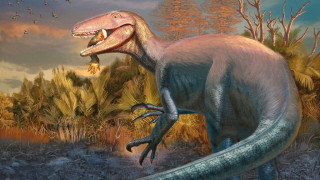 Βρέθηκε απολίθωμα από νέο είδος δεινοσαύρου, που πέθανε μασώντας ένα… πόδι κροκόδειλου