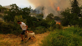 Νέα έκθεση για το περιβάλλον: «Απειλείται ο ευρωπαϊκός τρόπος ζωής»