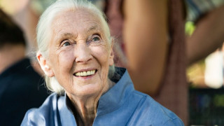 Πέθανε η επιστήμονας και ακτιβίστρια Τζέιν Γκούντολ