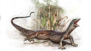 Μισή σαύρα, μισό φίδι: Το μυστηριώδες πλάσμα 160 εκατ. ετών που αποκαλύφθηκε στη Σκωτία