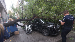 «Είχε ελεγχθεί, ήταν υγιές» - Η ανακοίνωση του Δήμου Αθηναίων για το πεσμένο δέντρο στη Μπενάκη