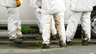 Ιαπωνία: Δύο νεκροί από επιθέσεις που αποδίδονται σε αρκούδες