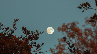 «Φεγγάρι της συγκομιδής»: Απόψε η πρώτη υπερπανσέληνος του έτους