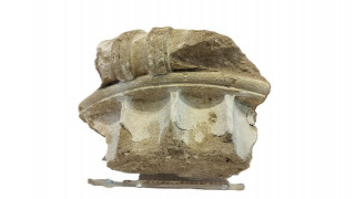 Από το Μύνστερ της Γερμανίας πίσω στην Αρχαία Ολυμπία: Επαναπατρίστηκε θραύσμα κιονόκρανου