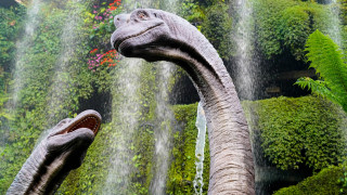 Αργεντινή: Στο φως σχεδόν πλήρης σκελετός δεινοσαύρου - Από τους παλαιότερους που έχουν ανακαλυφθεί