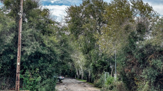 Κοντά σε απαντήσεις για το μυστήριο της Φοινικούντας: Νέα πρόσωπα στο «κάδρο», «μιλούν» τα κινητά