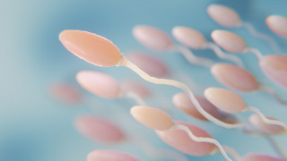 Υψηλότερος κίνδυνος: Δυνητικά επικίνδυνες μεταλλάξεις στο σπέρμα μεγαλύτερων σε ηλικία ανδρών