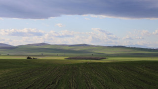 ΟΠΕΚΕΠΕ: Έβρισκαν «ορφανά» αγροτεμάχια και έκαναν ψεύτικα συμφωνητικά - Πώς δρούσε η σπείρα