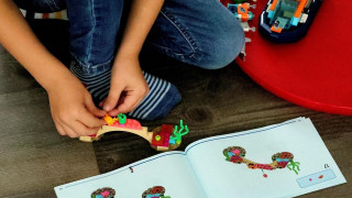 Νέα Ζηλανδία: 13χρονος κατάπιε 100 μαγνήτες και έχασε μέρος του εντέρου του