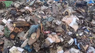 Κέρκυρα: Παρέμβαση του Ιατρικού Συλλόγου για τα ζωικά υπολείμματα - Διαμαρτυρίες των πολιτών