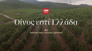 Οδοιπορικό CNN Greece στους ελληνικούς αμπελώνες: Ο τρύγος, οι άνθρωποι, το κρασί