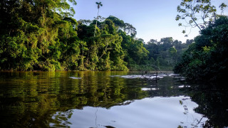 Βραζιλία: Δεκάδες ηγέτες από όλο τον κόσμο συναντώνται σήμερα στον Αμαζόνιο για το κλίμα