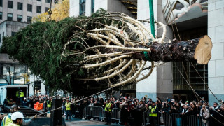 Ήρθαν τα Χριστούγεννα στη Νέα Υόρκη - Δέντρο ύψους 23 μέτρων έφτασε στο Ροκφέλερ
