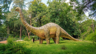 Νέο είδος δεινοσαύρου με μακρύ λαιμό έζησε πριν από περισσότερα από 200 εκατομμύρια χρόνια