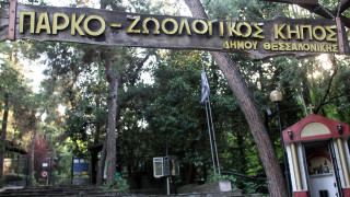 Κρούσμα βρουκέλλωσης σε κριό κλείνει τον Ζωολογικό Κήπο Θεσσαλονίκης μέχρι νεωτέρας