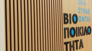 «Βιοποικιλότητα. Όλα συνδέονται»: Μία ξεχωριστή έκθεση στο Εθνικό Μουσείο Φυσικής Ιστορίας Γουλανδρή