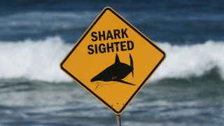 Αυστραλία: Ελβετίδα η νεαρή γυναίκα που έχασε τη ζωή της από επίθεση καρχαρία