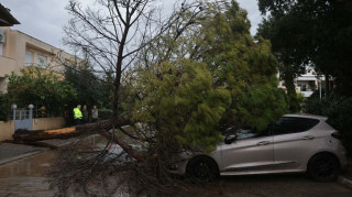 Πτώση δέντρων στο Μαρούσι: Καταστράφηκαν αυτοκίνητα - Τι κατέγραψε ο φακός του CNN Greece