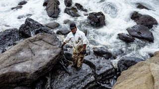 Θαλάσσιο περιβάλλον: Πώς αλλάζει ο μεγαλύτερος οικολογικός μηχανισμός του πλανήτη