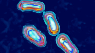 Μία ηφαιστειακή έκρηξη προκάλεσε τη μαύρη πανώλη, αποκαλύπτει νέα έρευνα