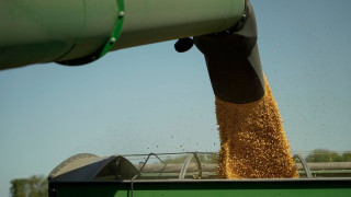 Πακέτο 12 δισ. για τους αγρότες που επλήγησαν από τους δασμούς θα ανακοινώσει ο Τραμπ