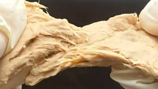 «Κρέας» από μύκητα που μπορεί να αντικαταστήσει το κοτόπουλο, ανέπτυξαν Κινέζοι επιστήμονες