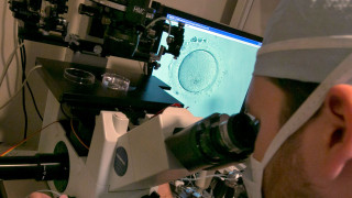 Γιατί οι δωρητές σπέρματος έχουν εκατοντάδες παιδιά - To «σπέρμα των Βίκινγκ» και οι κίνδυνοι