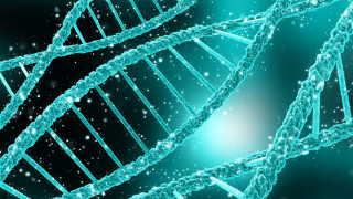 «Κασέτα DNA» αποθηκεύει έως και 1,5 εκατ. φορές περισσότερα δεδομένα από ένα smartphone