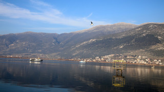 Μπορεί η Λίμνη των Ιωαννίνων να αναγεννηθεί;