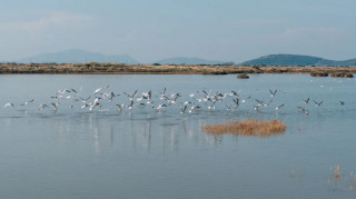 Ξεκινά διεθνής διαγωνισμός από το Υπερταμείο για είσοδο στρατηγικού επενδυτή στις Ελληνικές Αλυκές