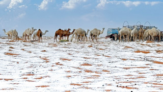 Στα λευκά «ντύθηκαν» Σαουδική Αραβία και Κατάρ - Εντυπωσιακές εικόνες με χιόνια σε αμμόλοφους