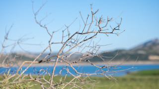 Zero Drop Μόρνος: Καμία σταγόνα νερού χαμένη